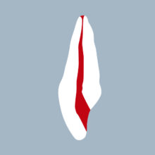 1121-01-o-ICMX- Incisive centrale maxillaire avec cavité d'accès (coupe) 1121-01-o-ICMX- Incisive centrale maxillaire avec cavité d'accès (coupe) - RightNao