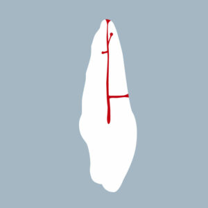 1121-03-ICMX - Incisive centrale maxillaire (coupe) - RightNao