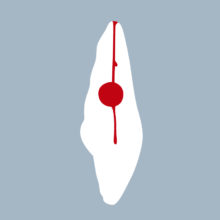 1121-05-ICMX - Incisive centrale maxillaire (coupe) 1121-05-ICMX - Incisive centrale maxillaire (coupe) - RightNao