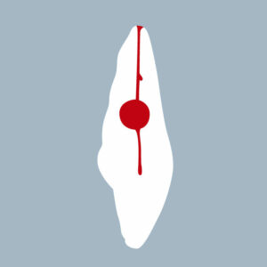 1121-05-ICMX - Incisive centrale maxillaire (coupe) - RightNao