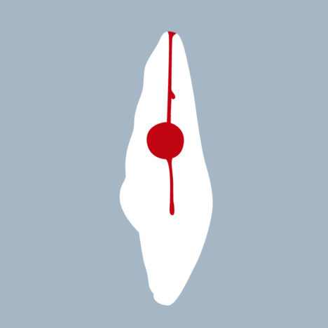 1121-05-ICMX - Incisive centrale maxillaire (coupe) - RightNao