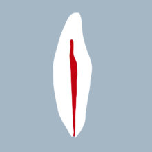 3132-4142-01-IMB - Incisive mandibulaire (coupe) 3132-4142-01-IMB - Incisive mandibulaire (coupe) - RightNao