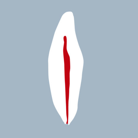 3132-4142-01-IMB - Incisive mandibulaire (coupe) - RightNao