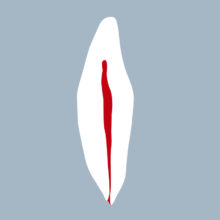 3141-3242-02-IMB - Incisive mandibulaire (coupe) 3141-3242-02-IMB - Incisive mandibulaire (coupe) - RightNao