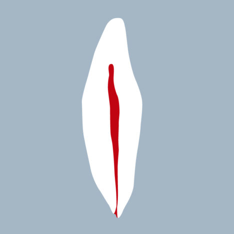 3141-3242-02-IMB - Incisive mandibulaire (coupe) - RightNao