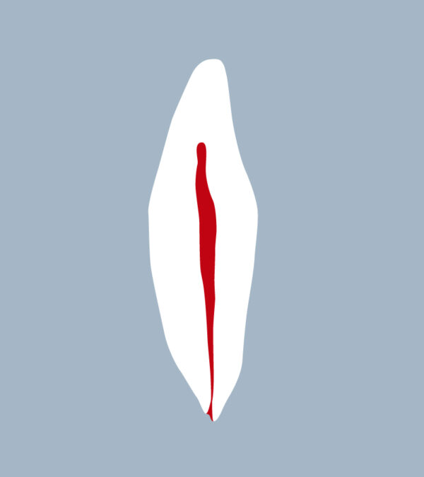3141-3242-02-IMB - Incisive mandibulaire (coupe) - RightNao