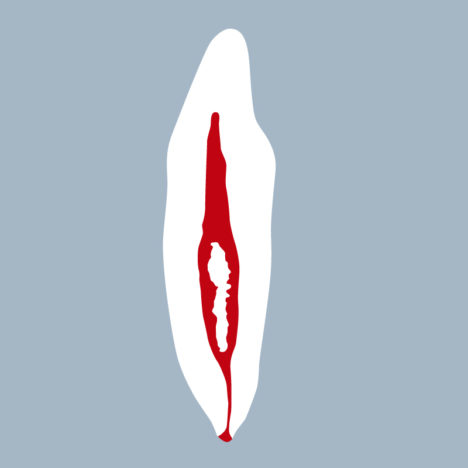 3132-4142-03-IMB - Incisive mandibulaire (coupe) - RightNao