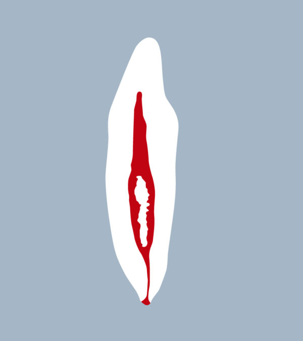 3132-4142-03-IMB - Incisive mandibulaire (coupe) - RightNao
