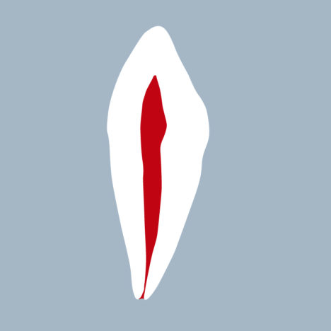 3343-01-CMB - Canine mandibulaire (coupe) - RightNao