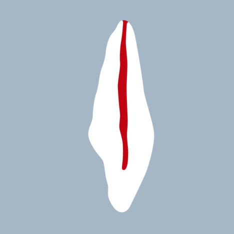 1121-02-ICMX - Incisive centrale maxillaire (coupe) - RightNao