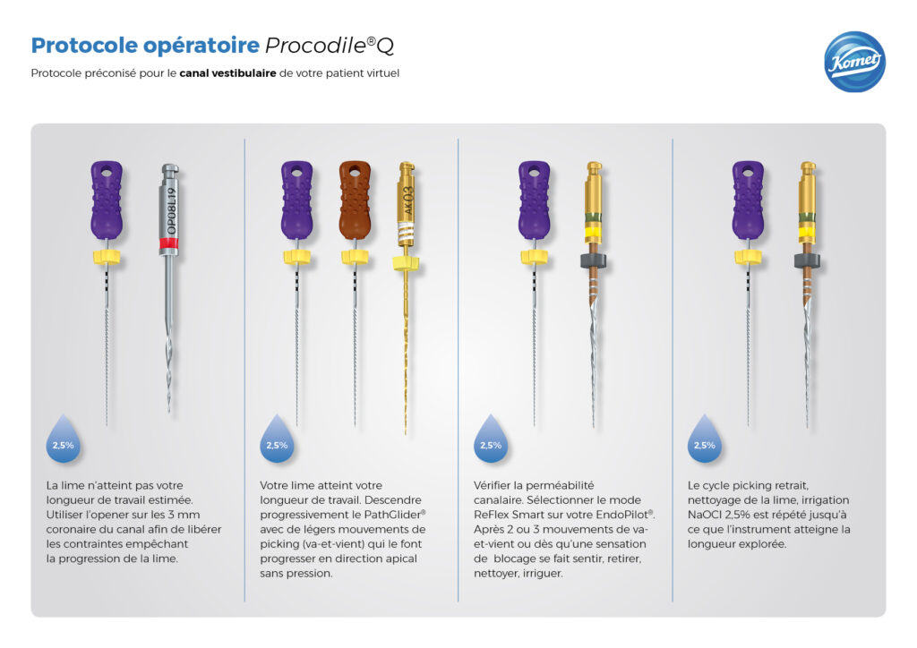 Visuell aus &quot;Operationsprotokoll des Vestibularis-Kanals 14/24 - Komet France&quot; - Copyright RightNao